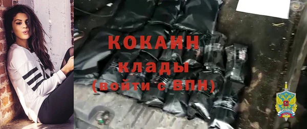 apvp Аша