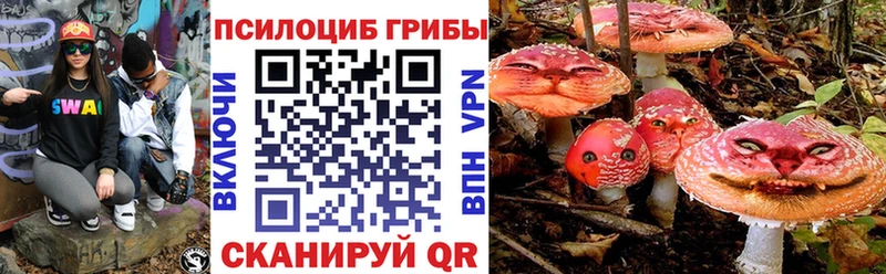 Галлюциногенные грибы Psilocybe Полярный