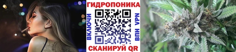 Бошки Шишки LSD WEED  Полярный 